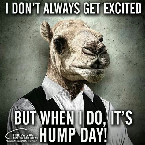 sexy happy hump day meme|35 Funny Hump Day Memes for 2024